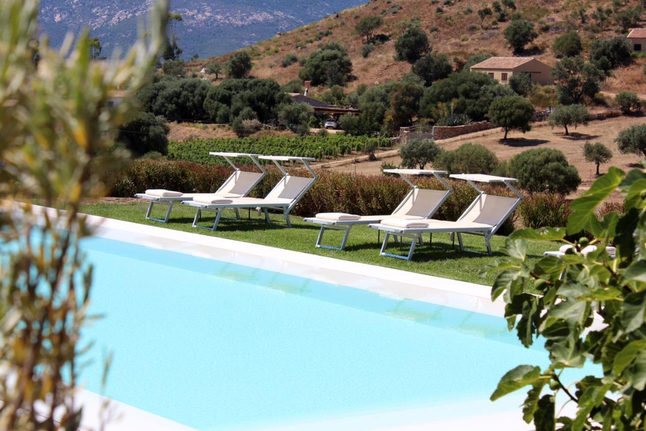 Bed and Breakfast Albero Capovolto Golfo Aranci Exterior foto